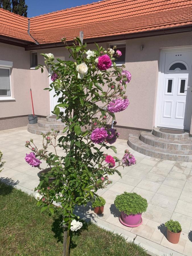 Ferienwohnung Vrdnicka Bajka Vrdnik Exterior foto