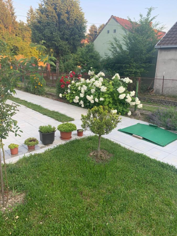 Ferienwohnung Vrdnicka Bajka Vrdnik Exterior foto